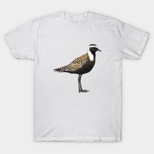 American Golden Plover illustration T-Shirt